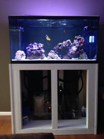 Fish Tank Complete 2.jpg