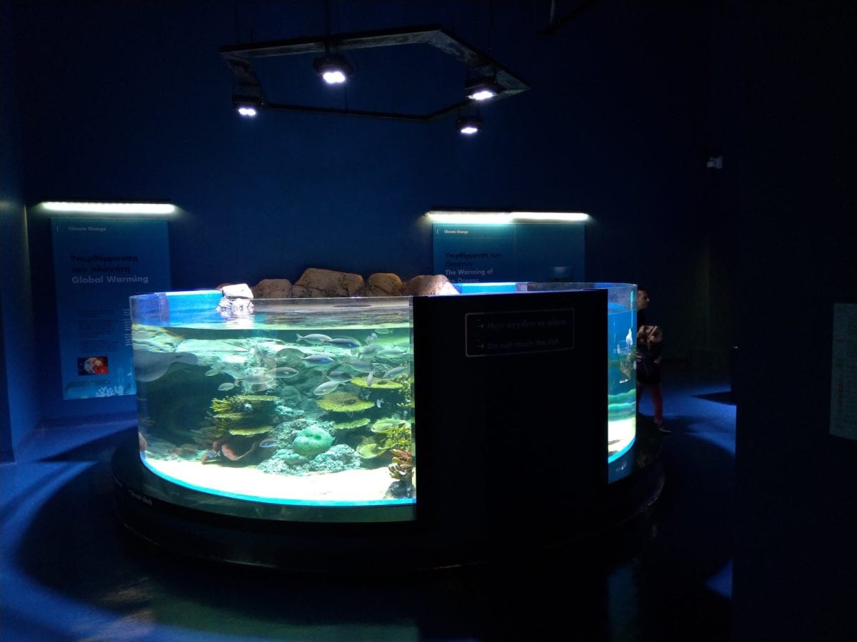 fish-tank-cylynder-oman-aquarium-orphek-amazonas-960.jpeg