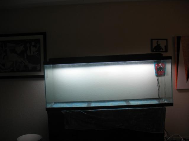 fish tank ect 035.jpg