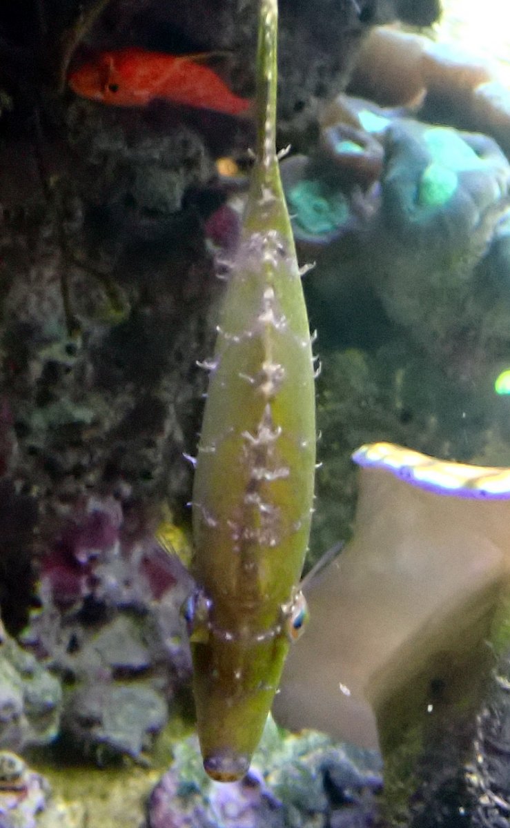 fish3.jpg
