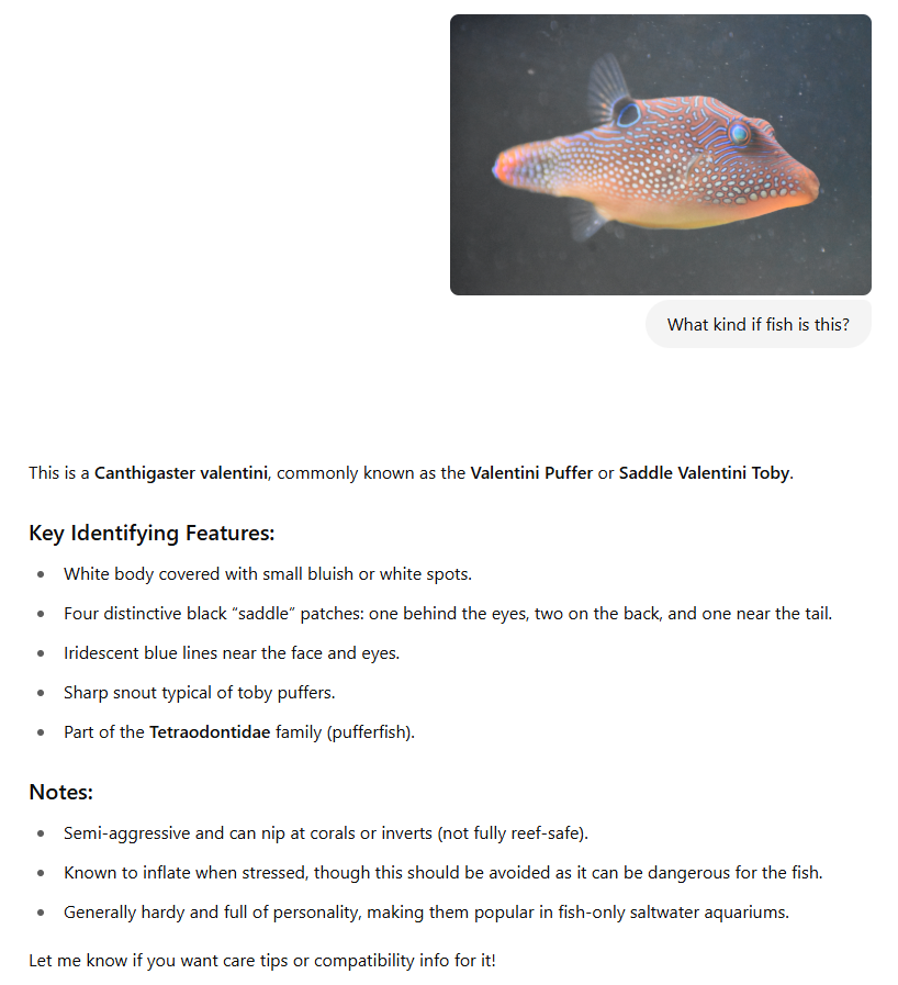 fishid.PNG