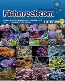 Fishnreef Logo Large C.jpg