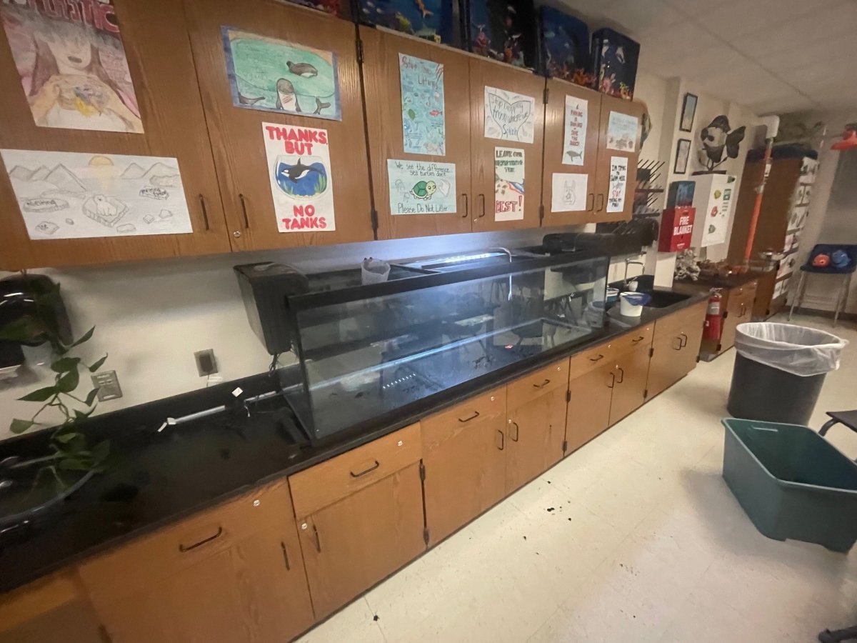 fishtank 1.jpg