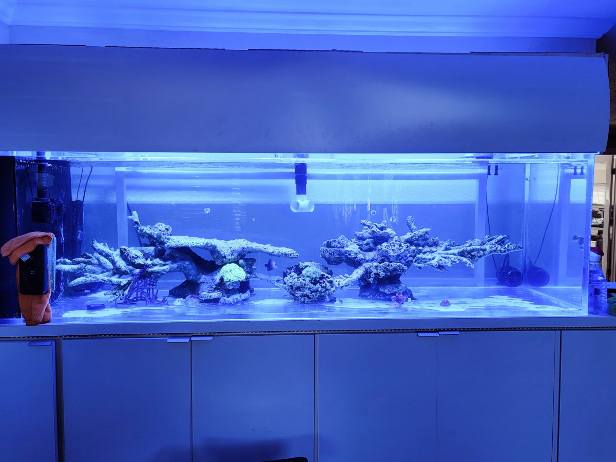 Large Build - Setting up a 300 Gallon Tank | Reef2Reef