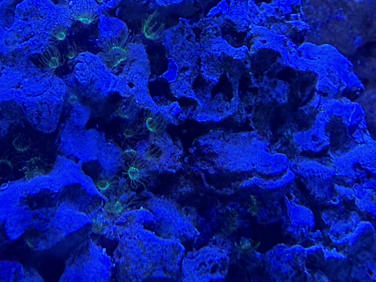 fishtank.jpg