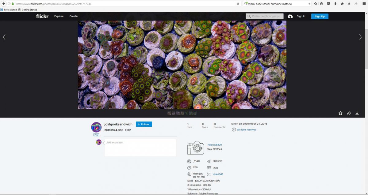 flickr 2.jpg