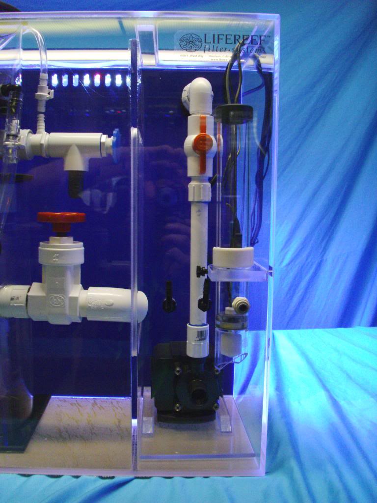 Float Switch 1.jpg