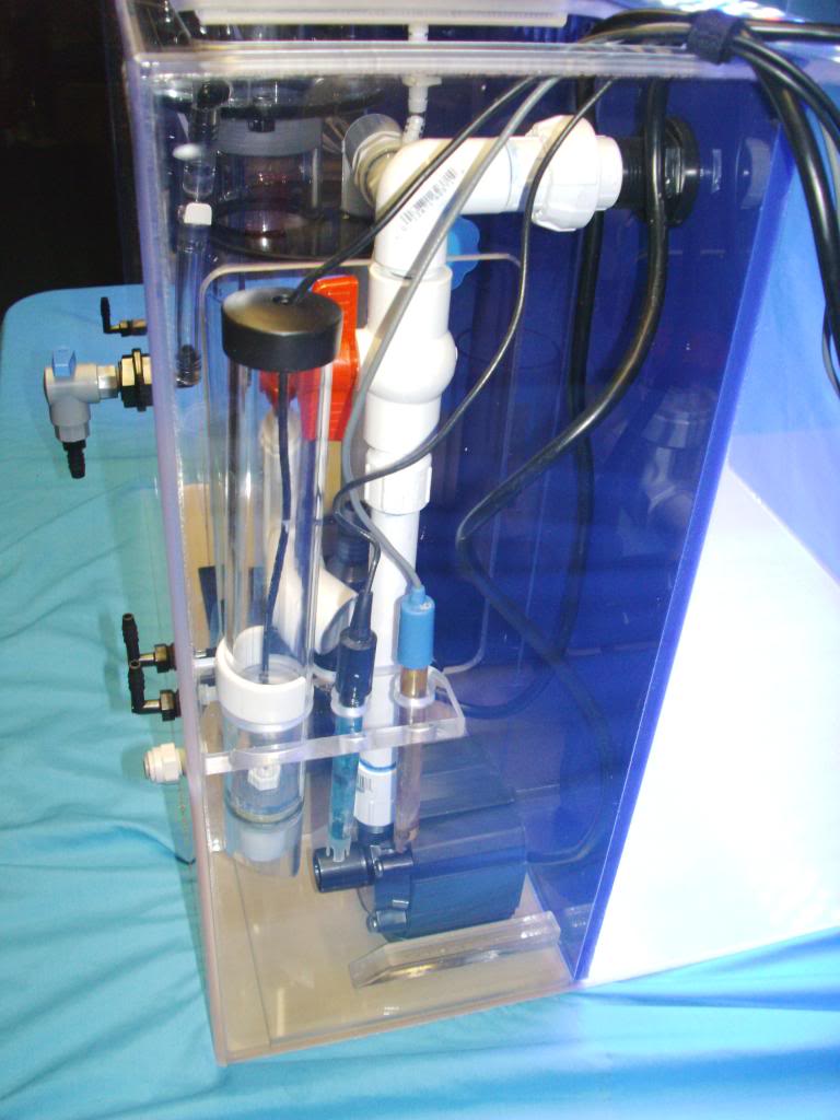 Float Switch 2.jpg