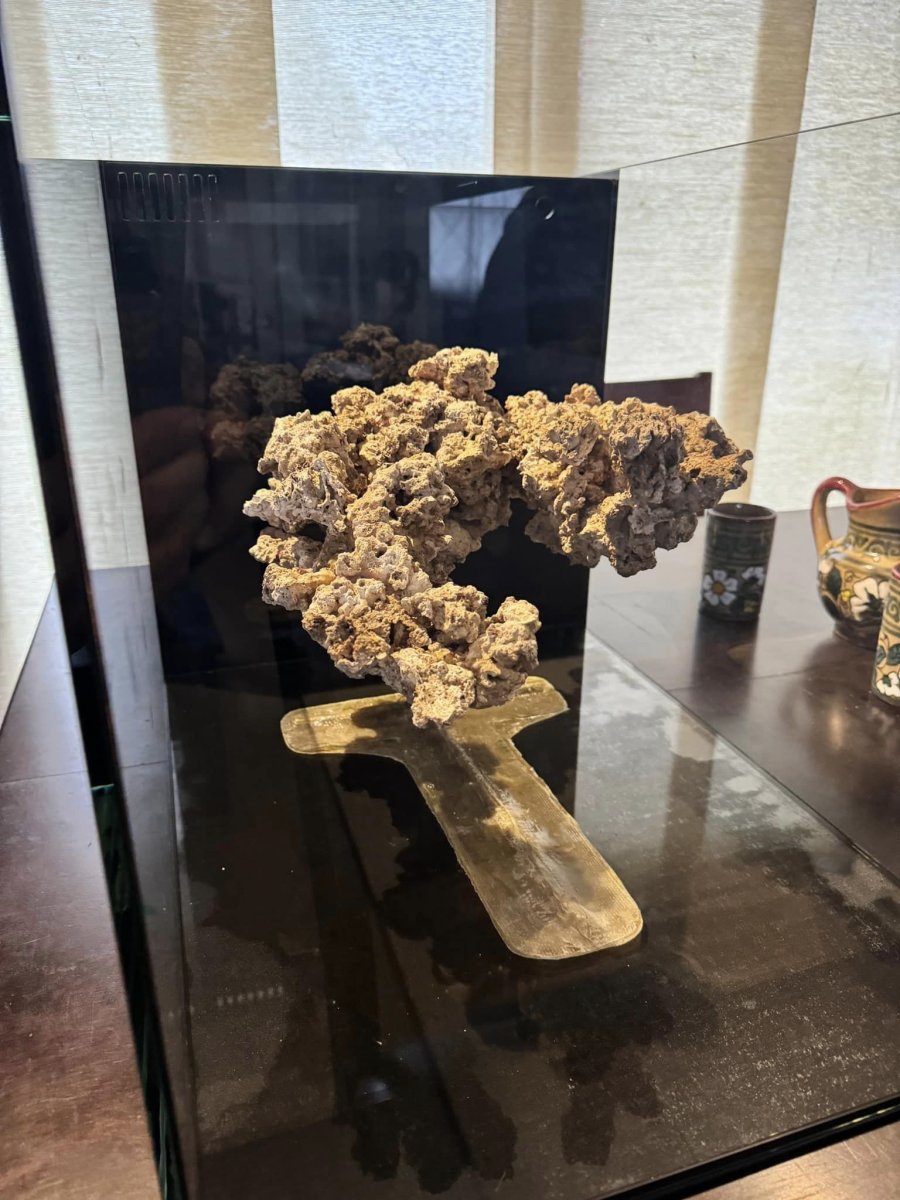 FLOATING REEF 1.jpg