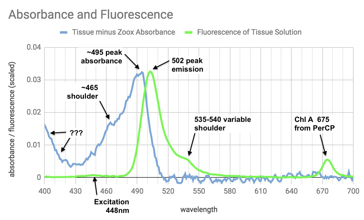 FluorescenceGFP.jpg
