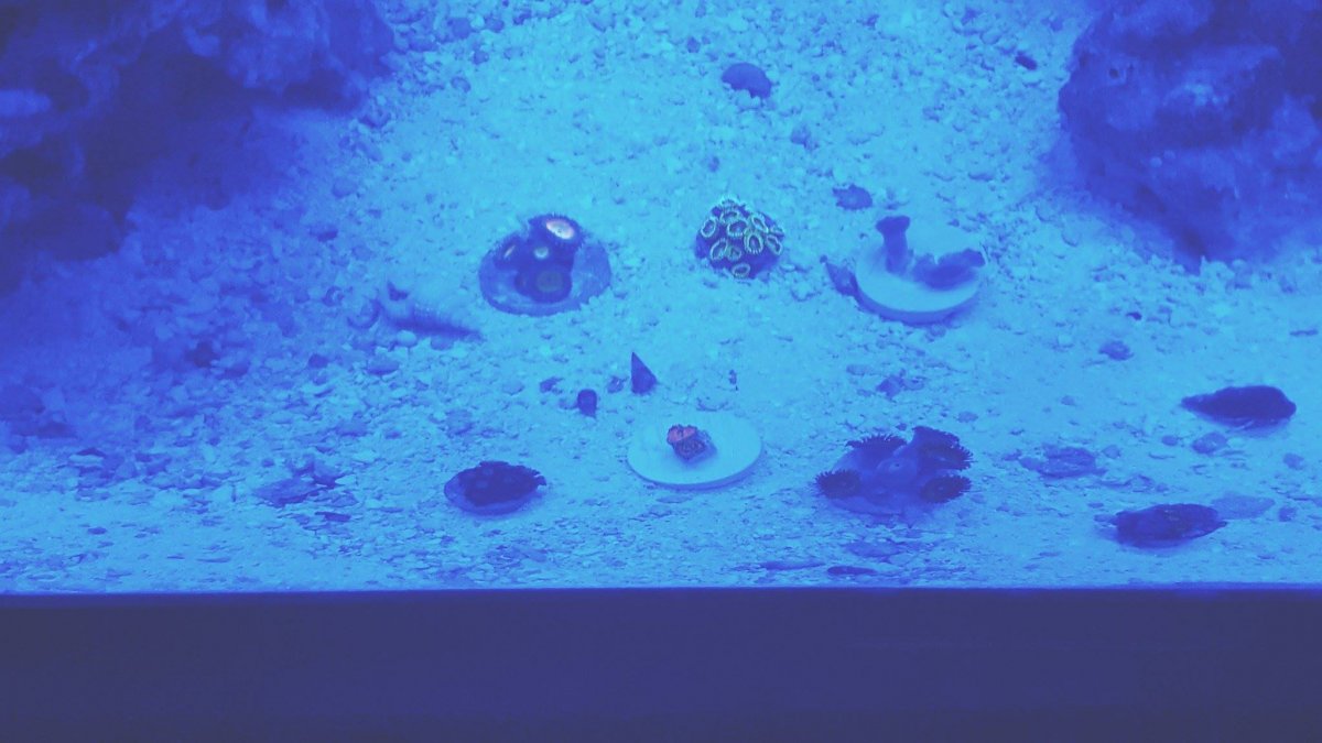 Fluorescing 2.jpg