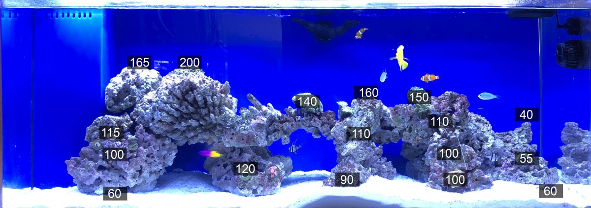 Fluval_100.jpg
