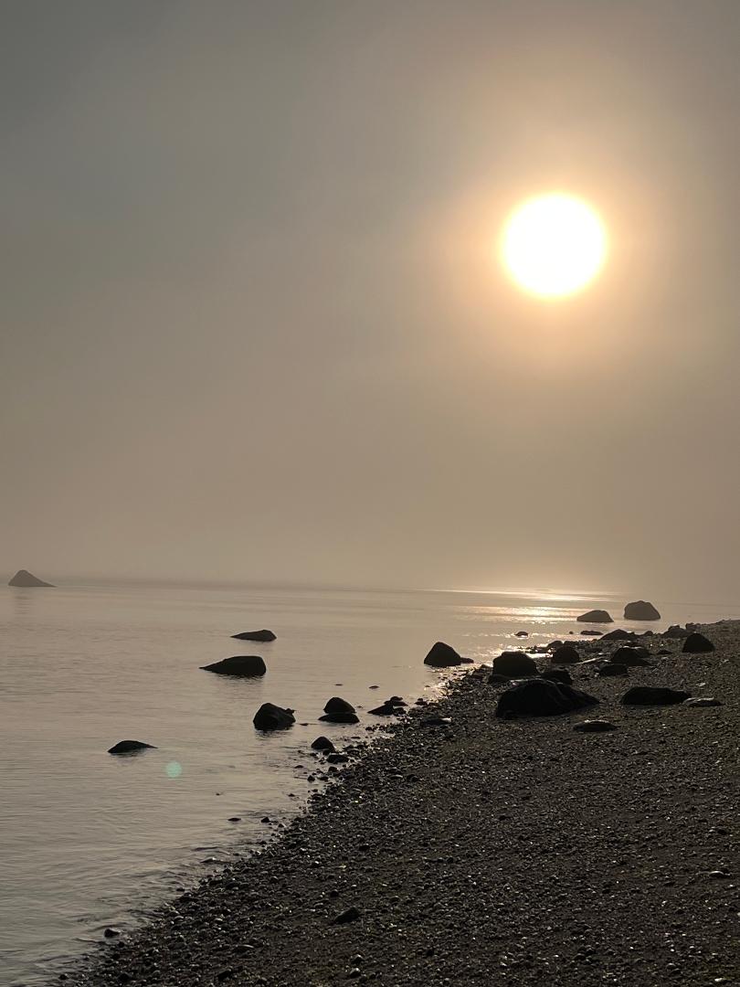 Fog on beach.jpg