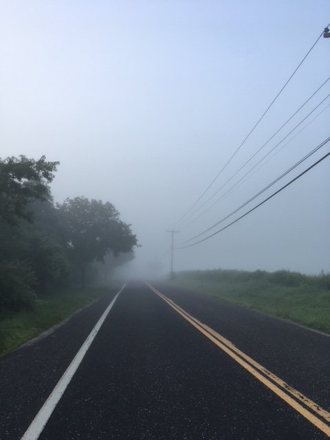 Foggy road.JPG