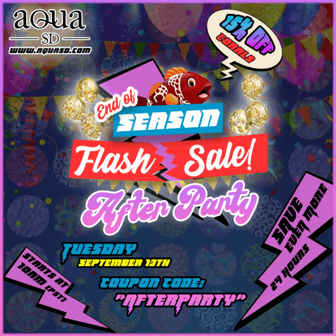 Forums-Flash Sale - After Party-Animated.gif