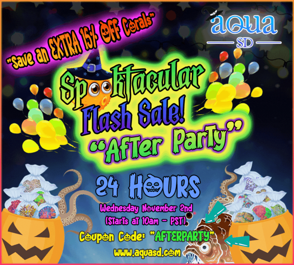 Forums-Spooktacular - After Party.gif