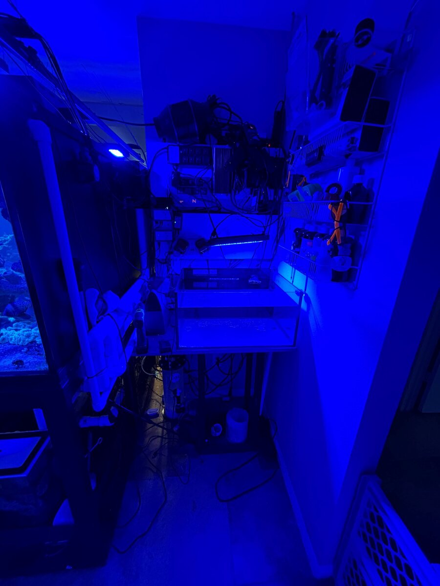 frag tank.jpg