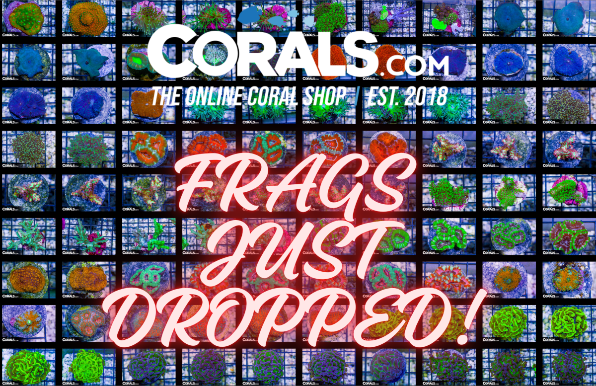 FRAGS JUST DROPPED!.png