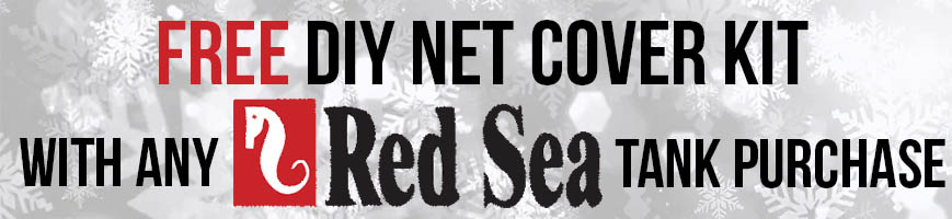 Free DIY Kit Red Sea 869x200.jpg
