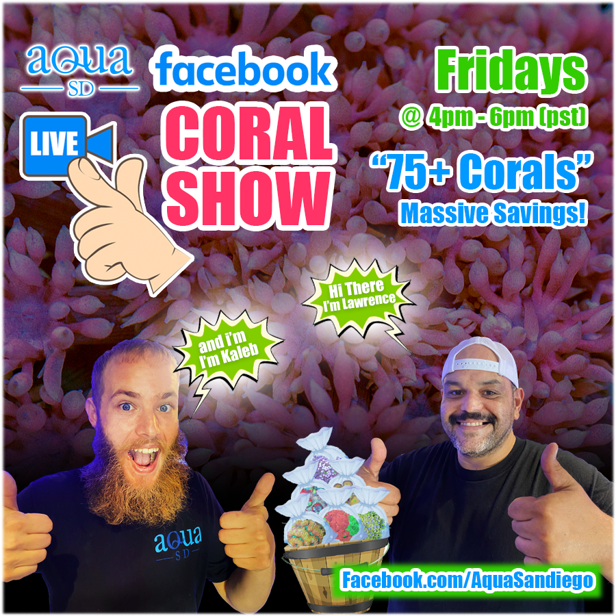 Friday-FB-CoralLiveShow-08-09-22.png