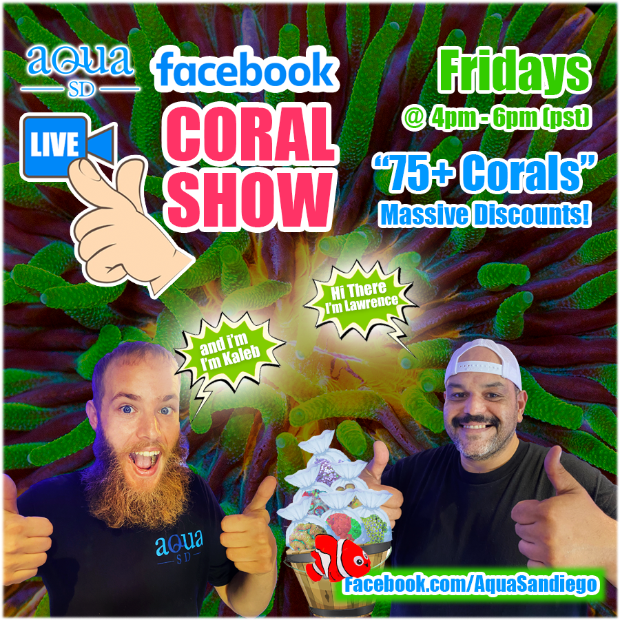 Friday-FB-CoralShow-08-26-22.png