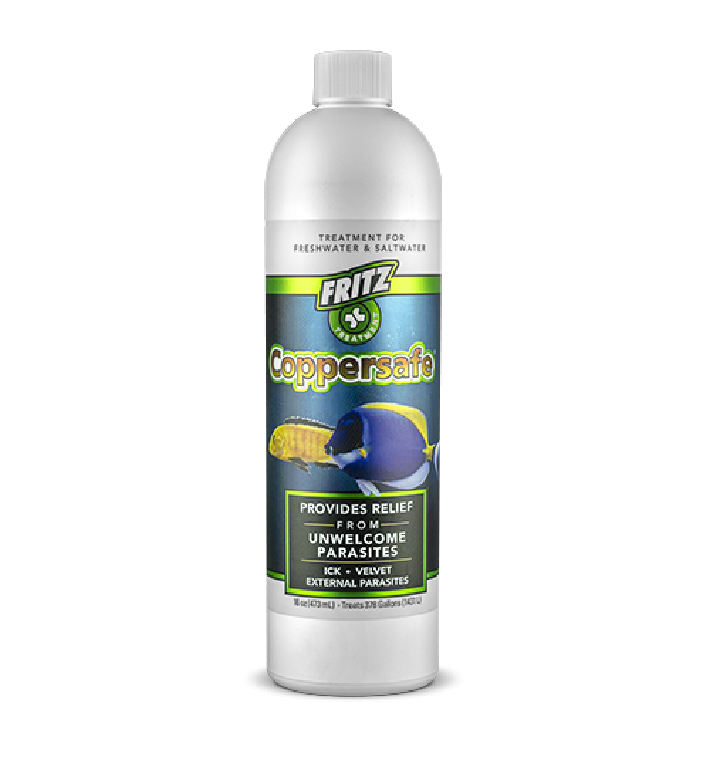 Fritz_CopperSafe_16oz_1000_1080_s.png