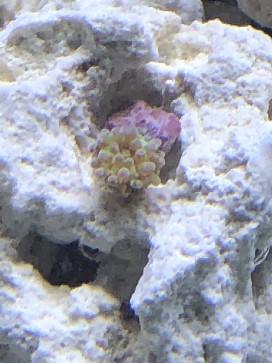 Frogspawn_3.21.19_small.jpg
