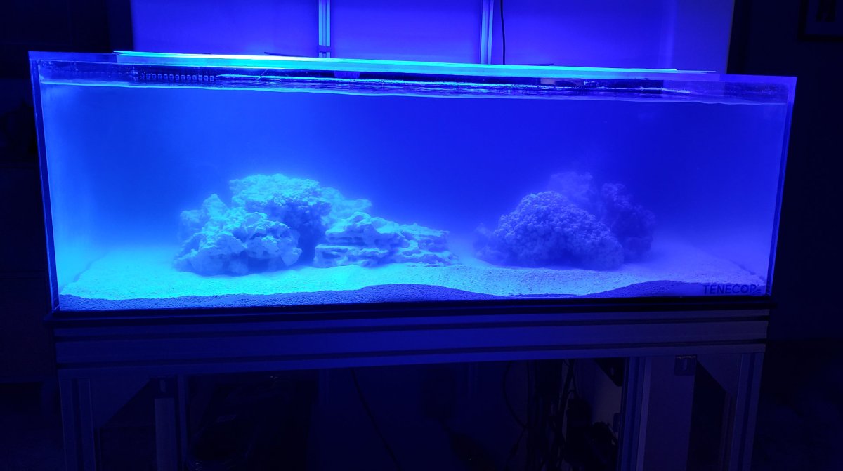 100 Gallon Lagoon-style acrylic AIO