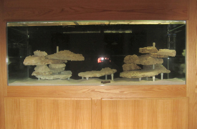 front view1 sm.jpg