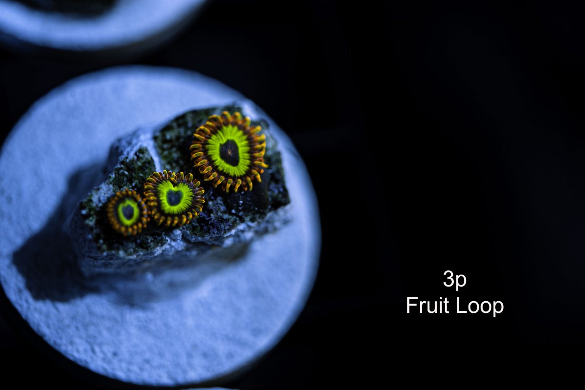 fruit-loop-3p.jpg