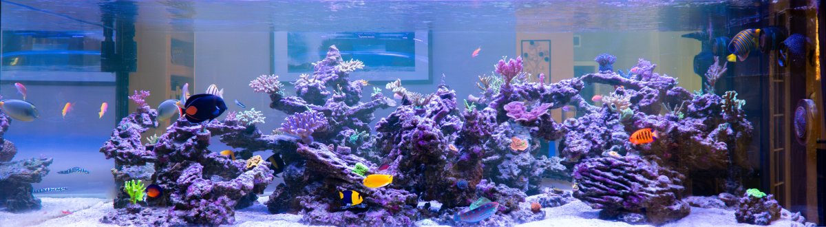 FTS 02202025.jpg