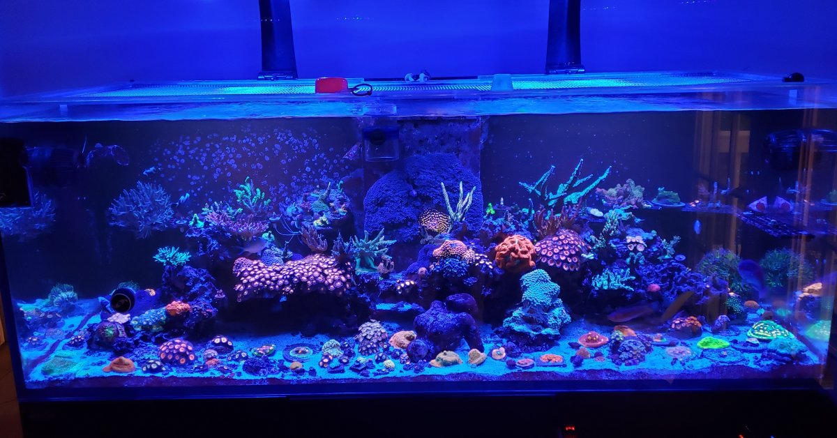 fts 052219.jpg