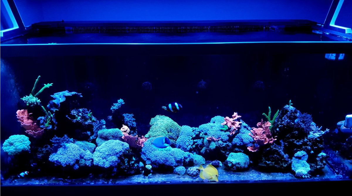 FTS 07DEC18.JPG