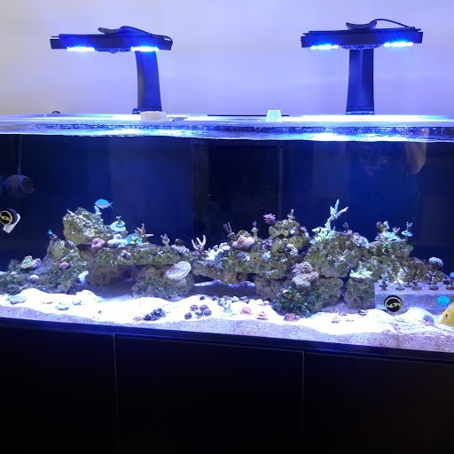 fts 1.jpg