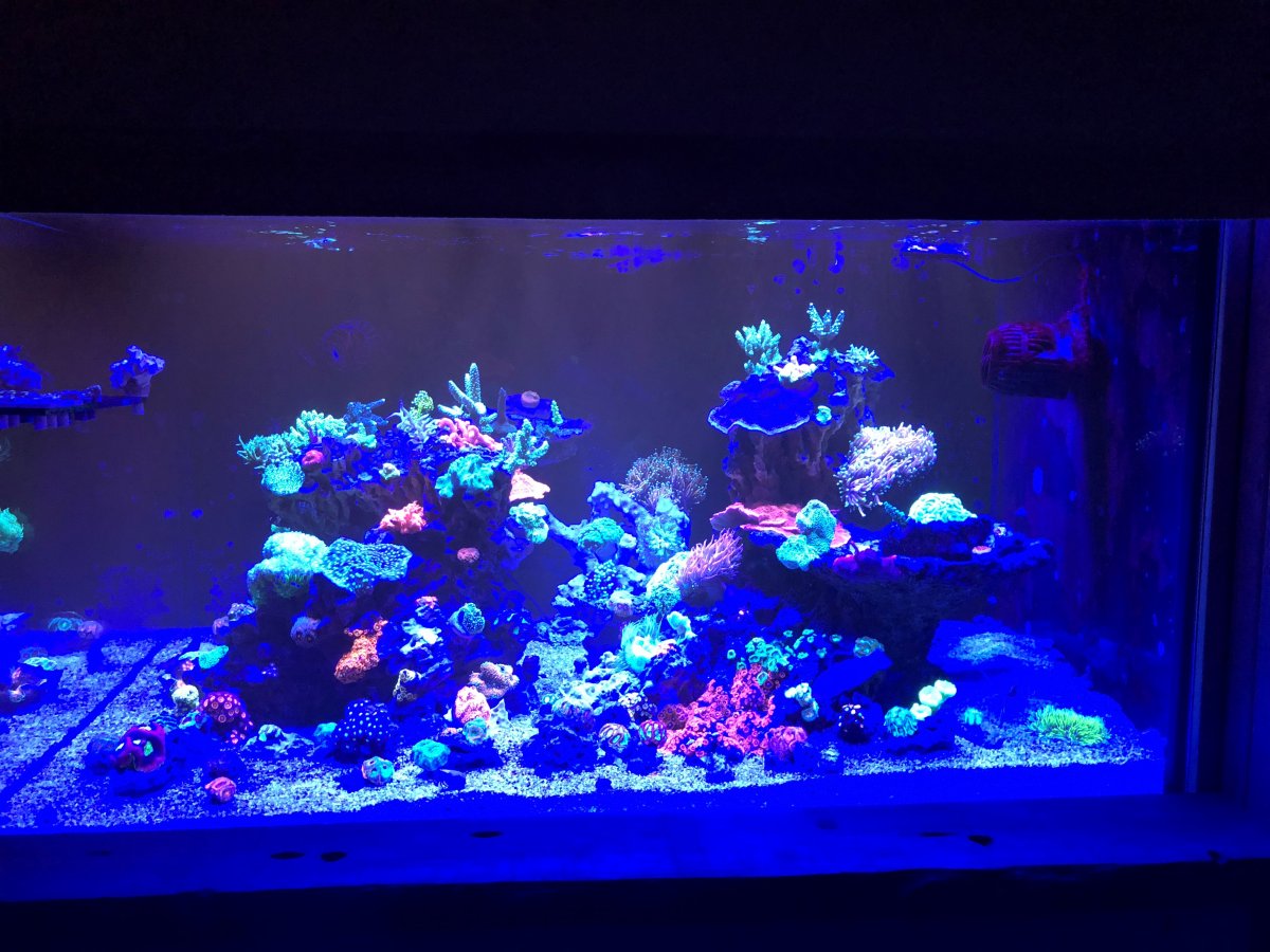 FTS 1.jpg