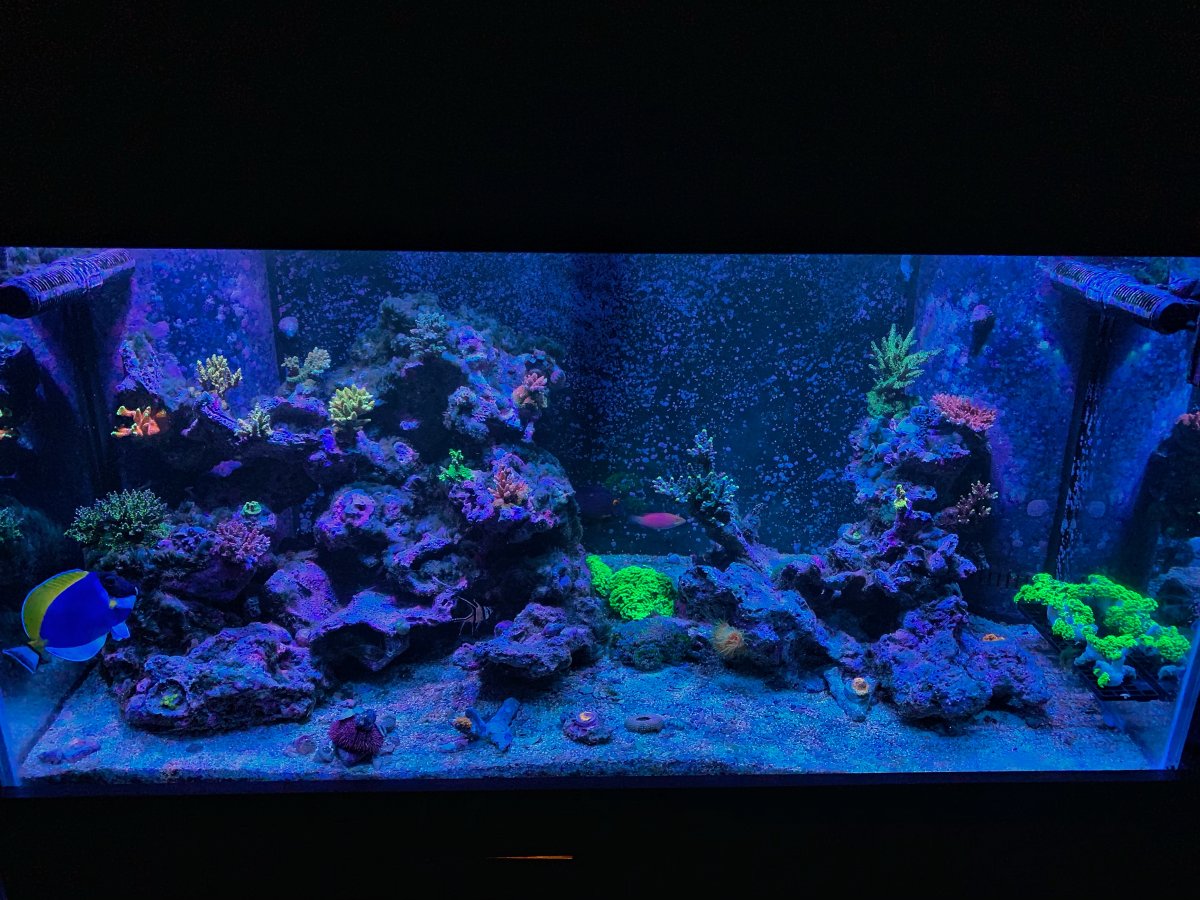 FTS 10.7.19.jpeg