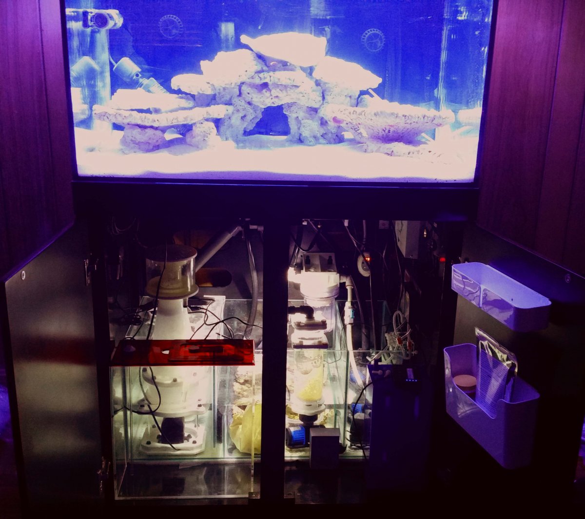 FTS 102015.jpg