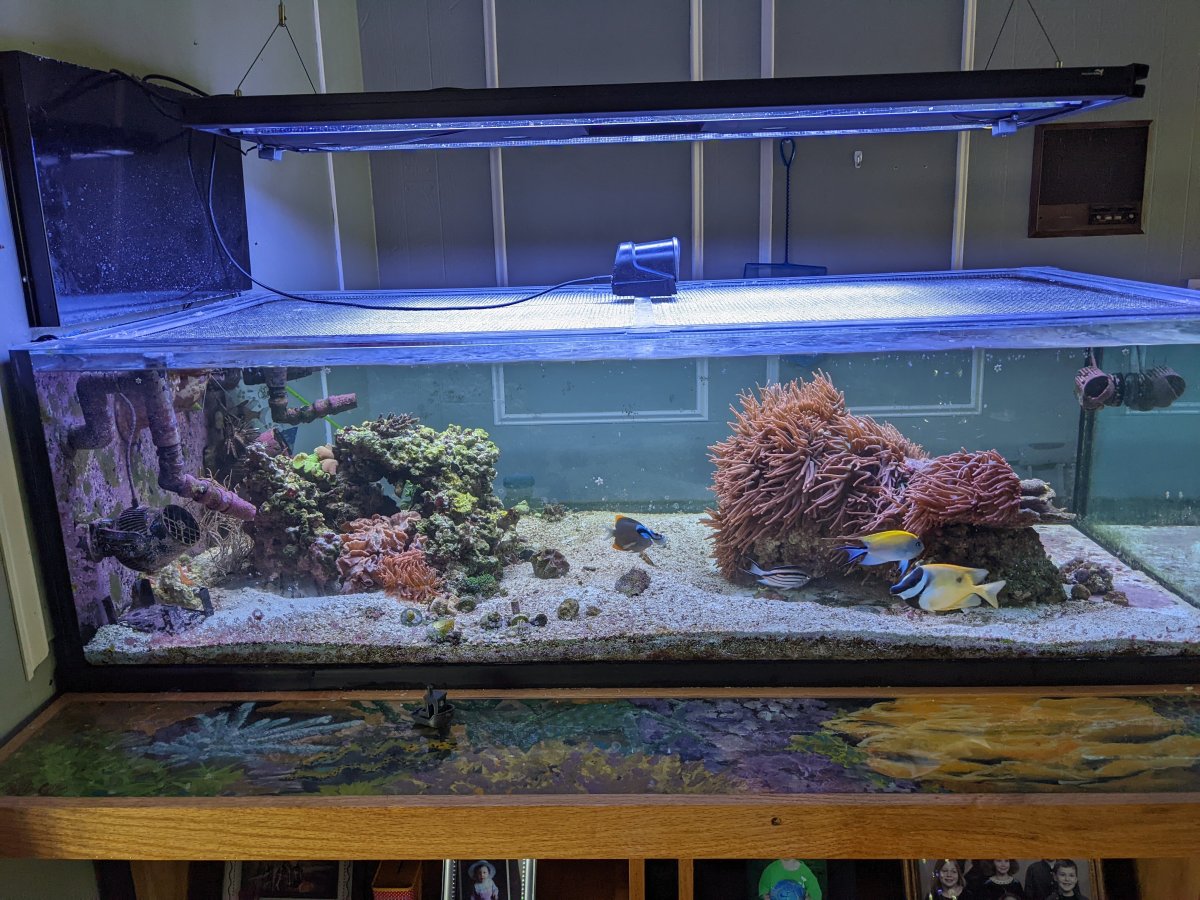 FTS-1022.jpg