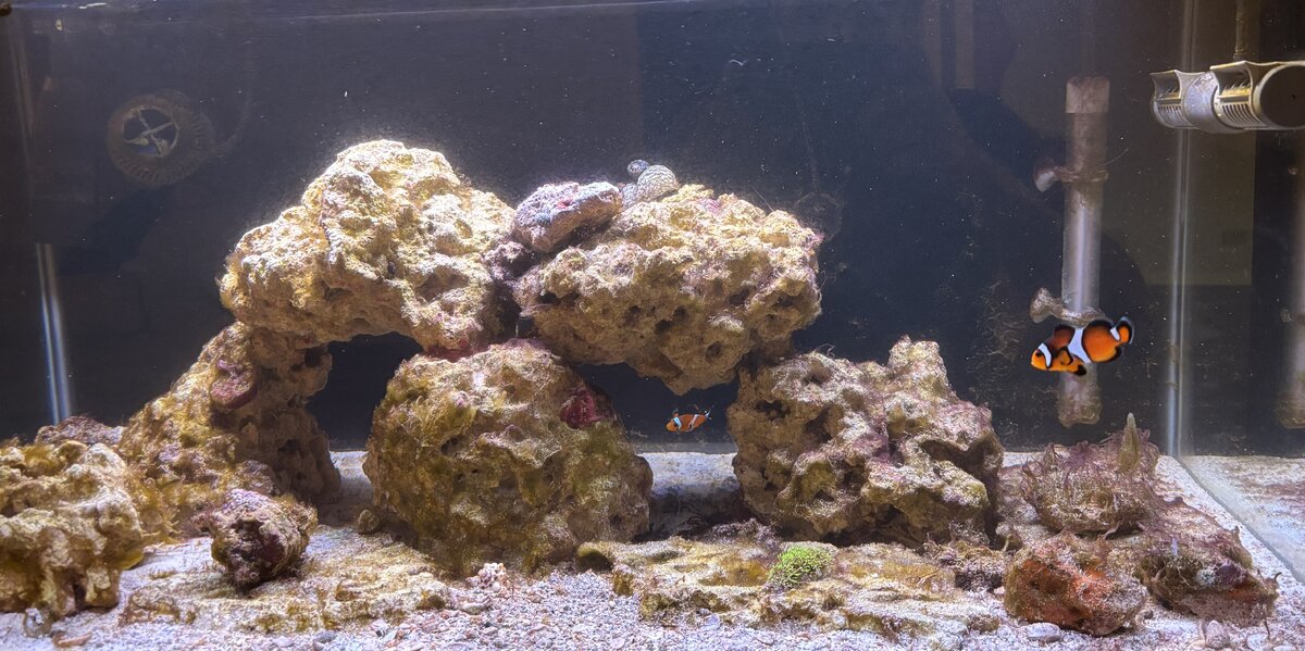 fts 11.9.25.jpg