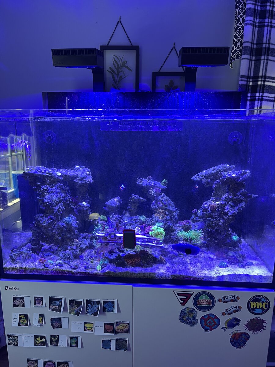 FTS 2.jpeg