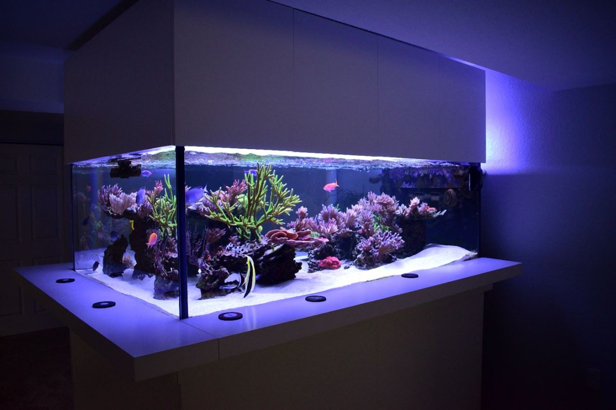 FTS 2.JPG