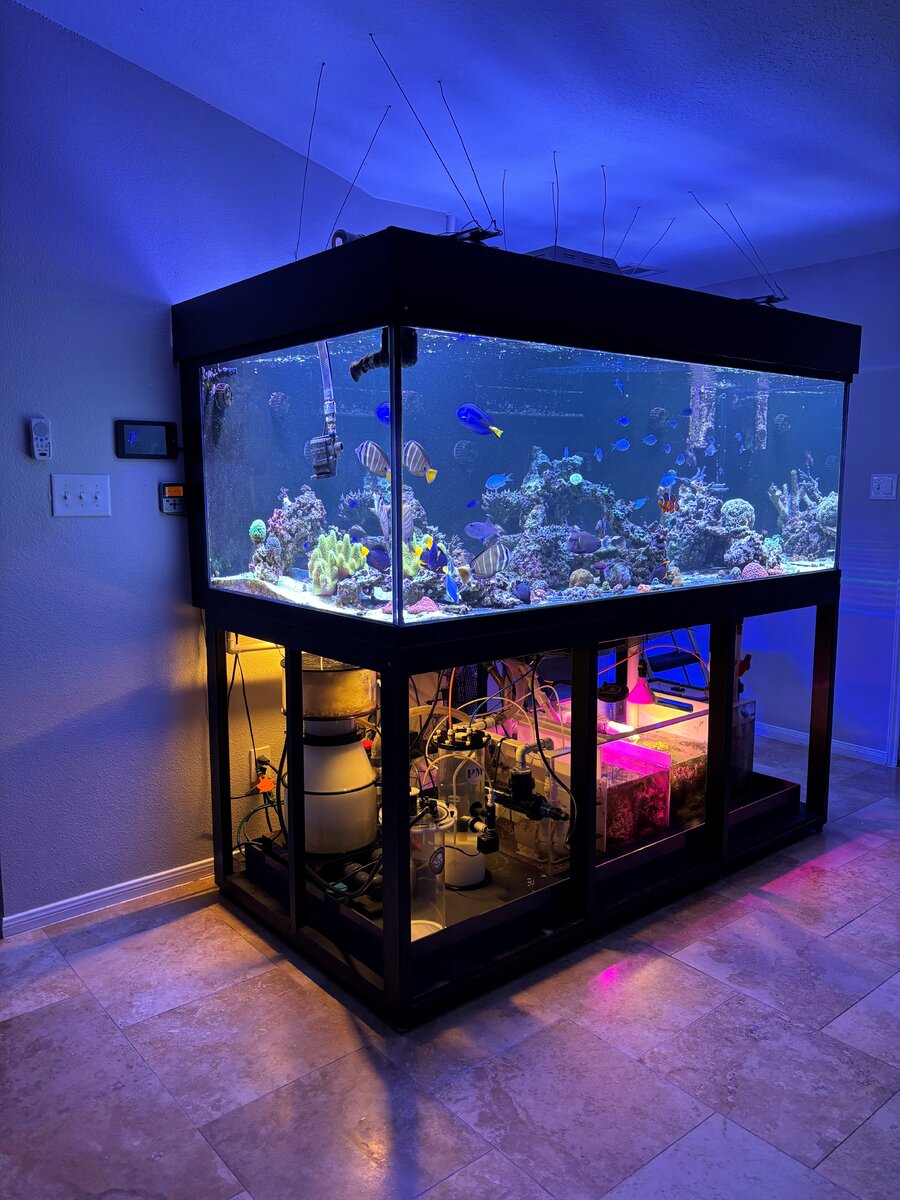 fts 2.jpg