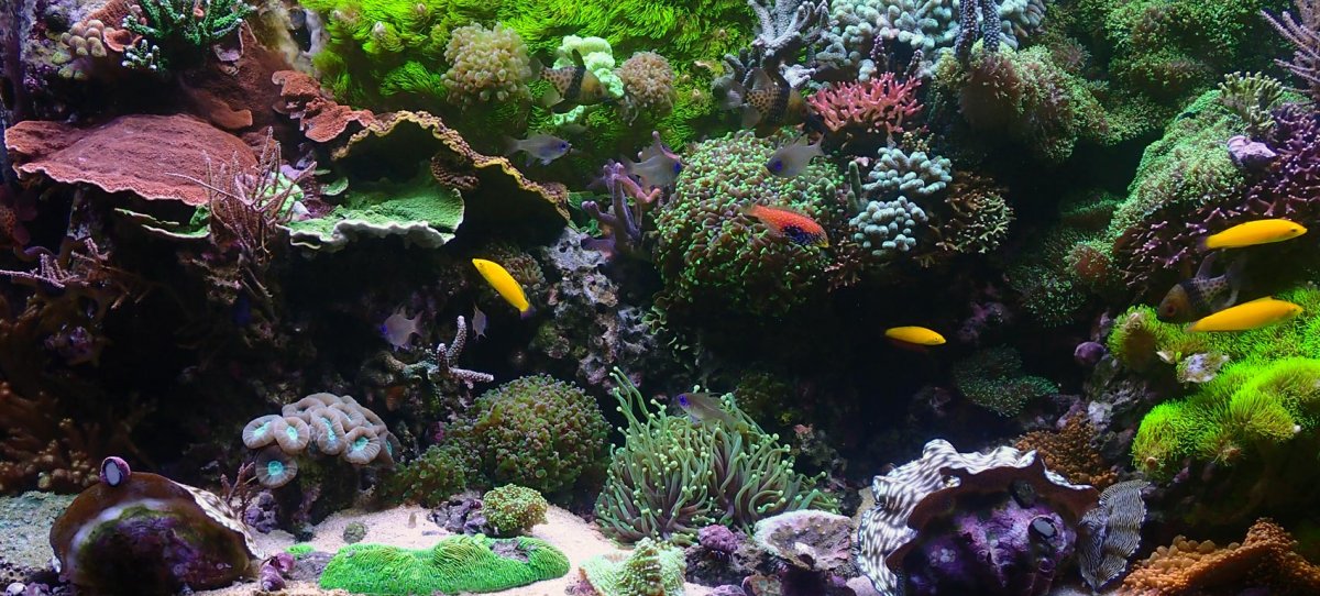 FTS-2.jpg