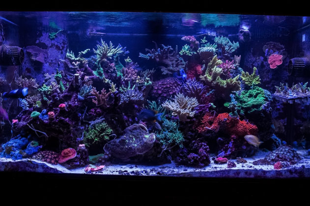 fts-20k.jpg