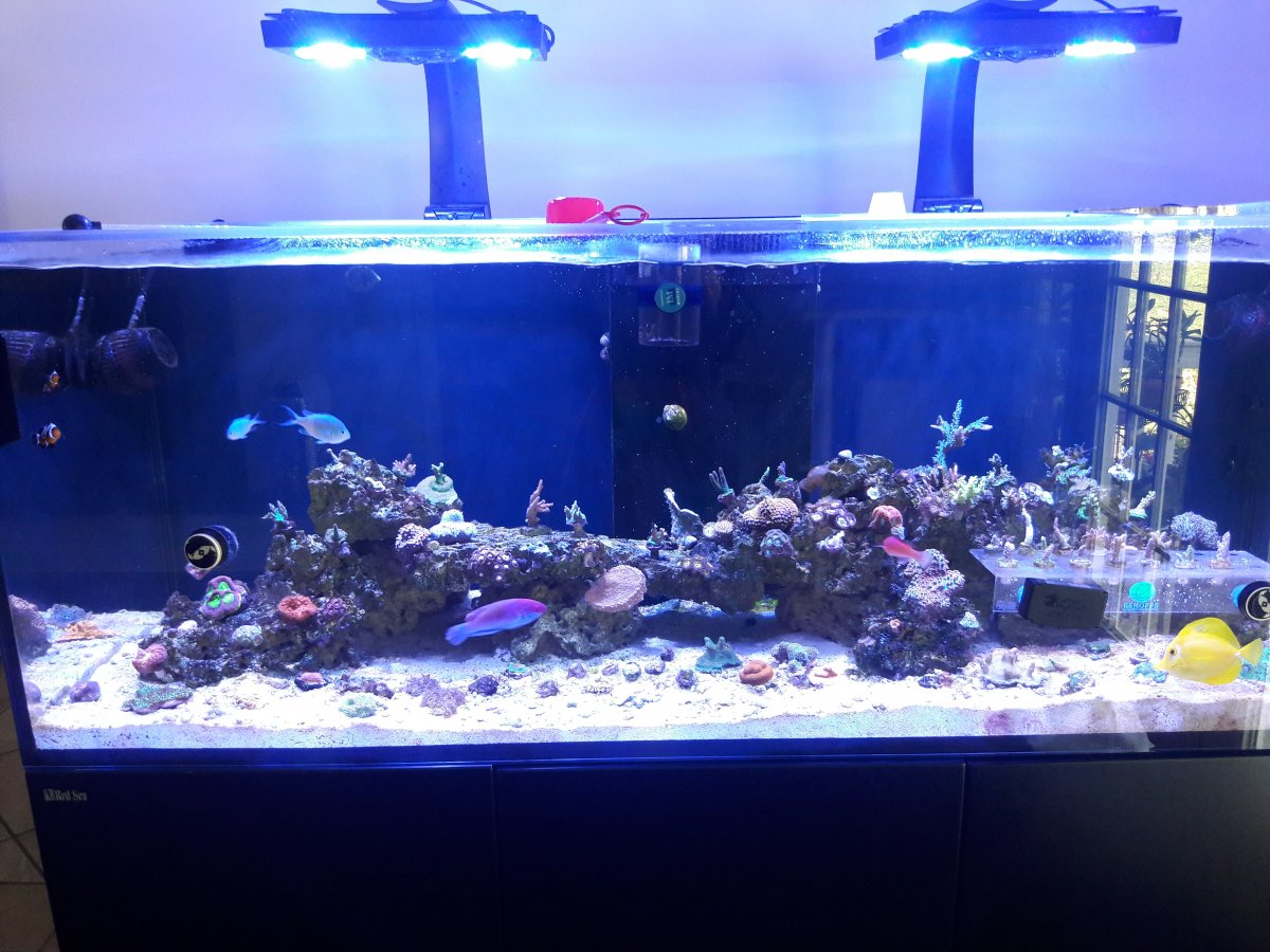fts 3.jpg