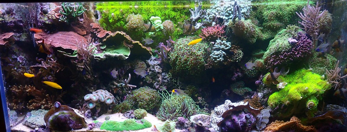 FTS-3.jpg