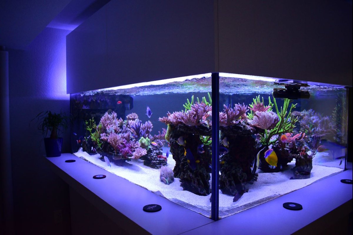 FTS 4.JPG