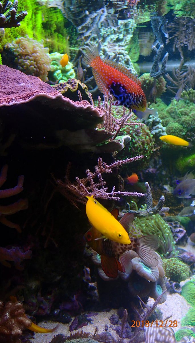 FTS-4.jpg