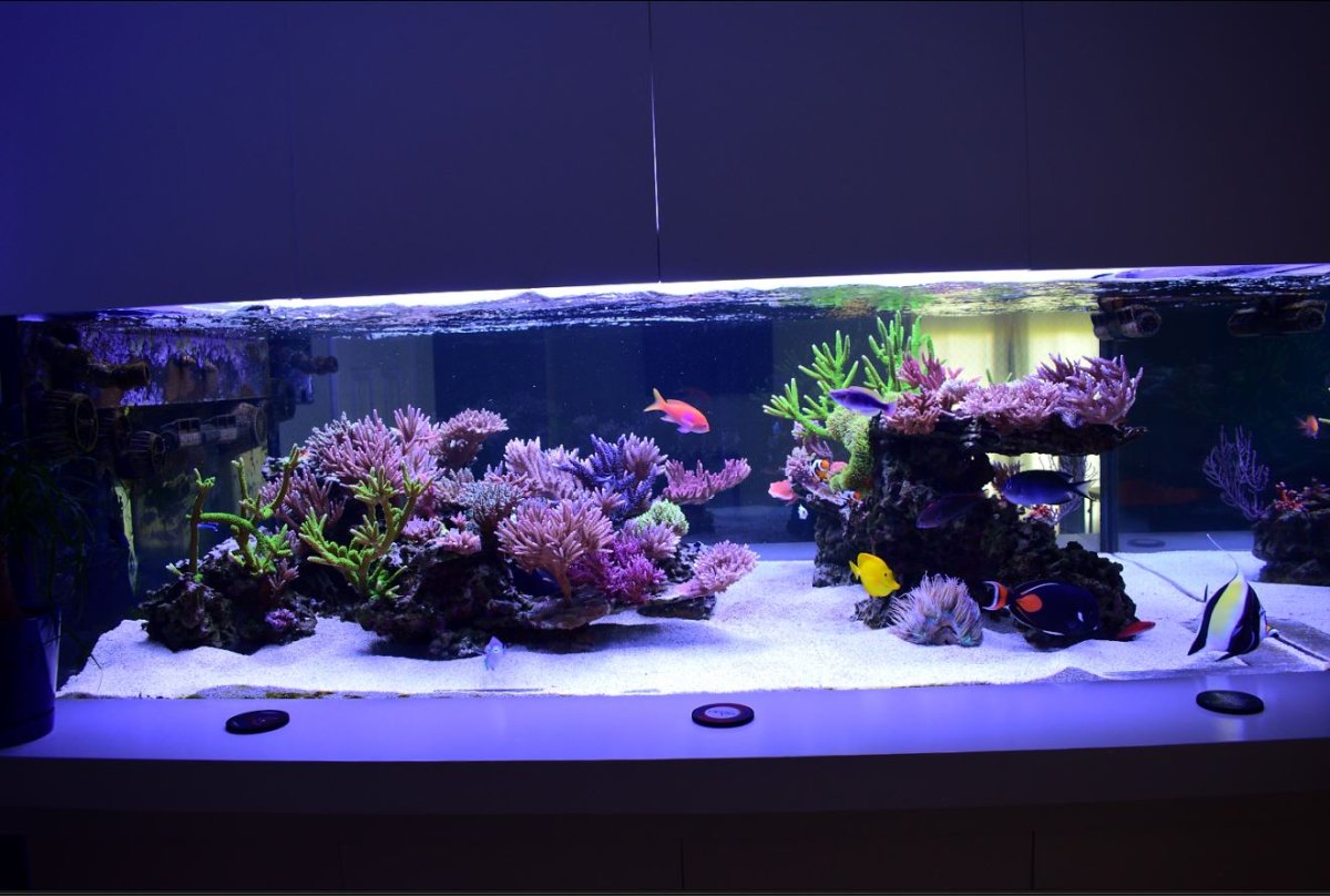 FTS 5.JPG