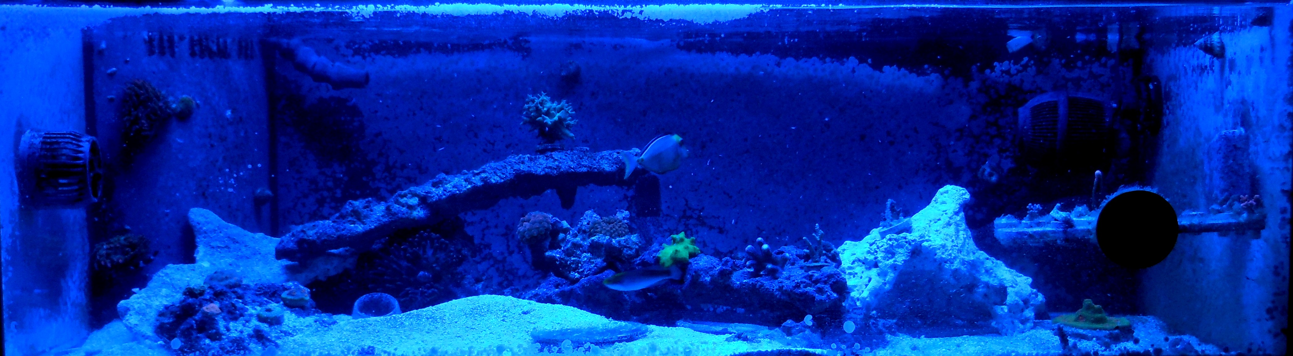 fts 8122015.jpg